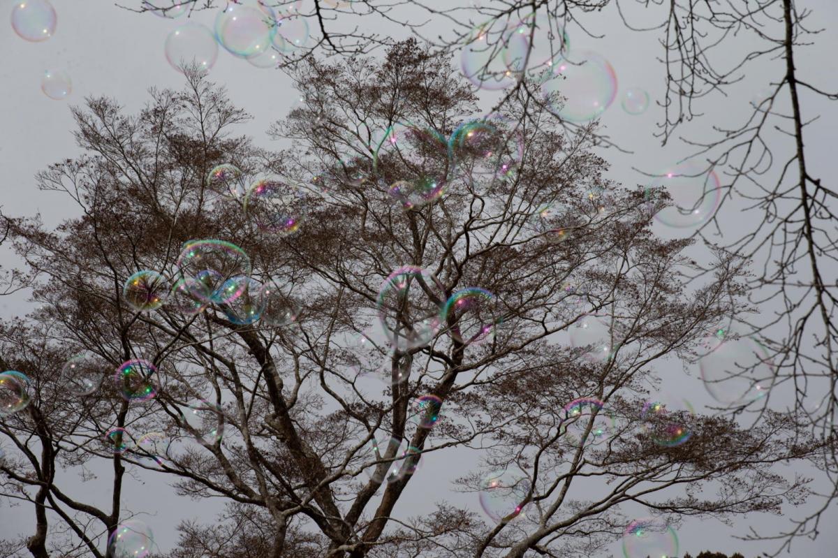 藤沢長徳寺蘇民祭2024 2024/03/03