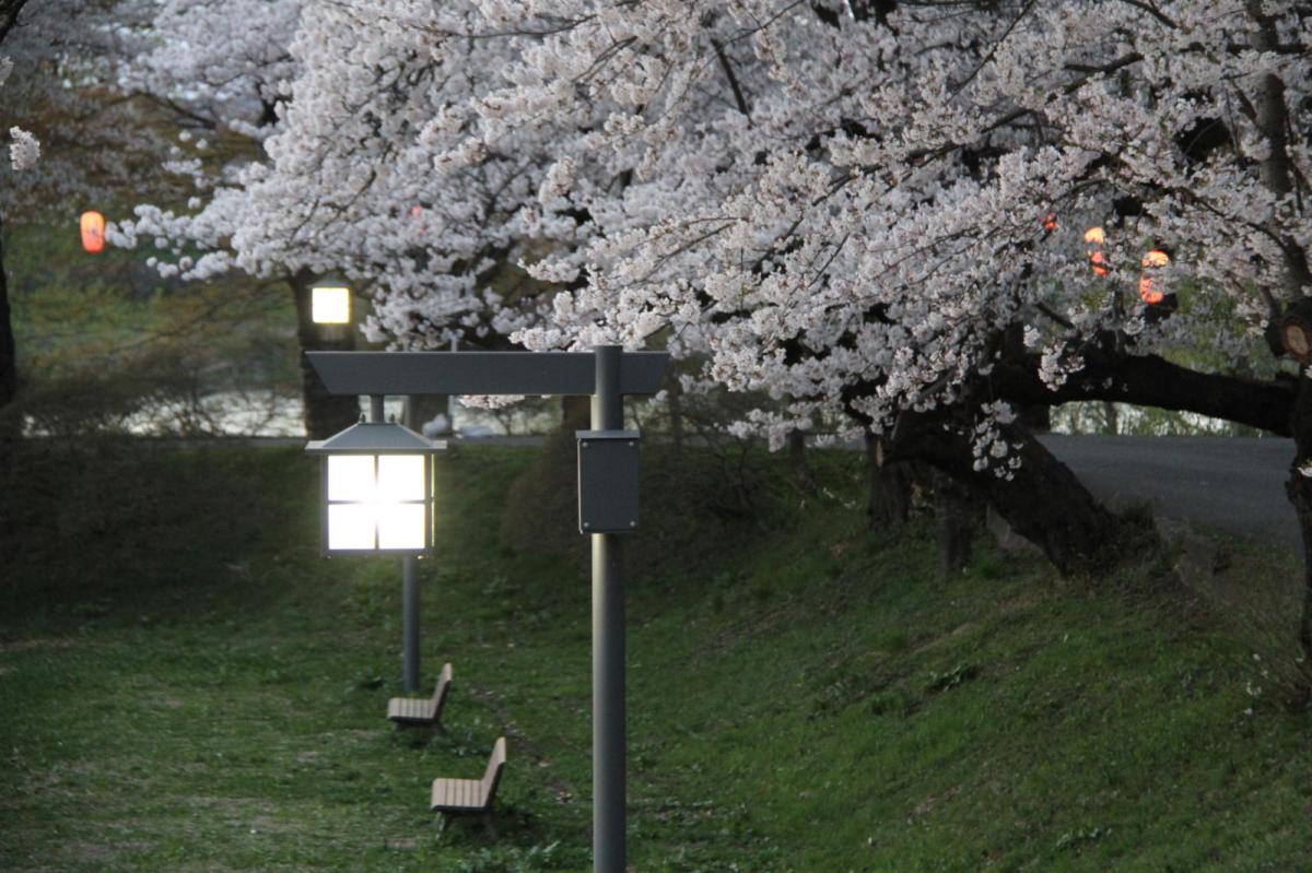 北上市展勝地桜まつり 2017 2017/04/23-29