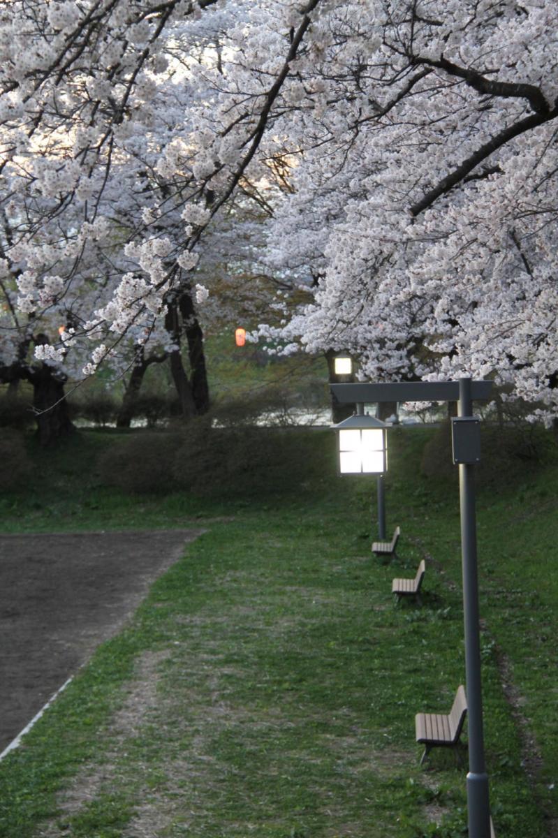 北上市展勝地桜まつり 2017 2017/04/23-29