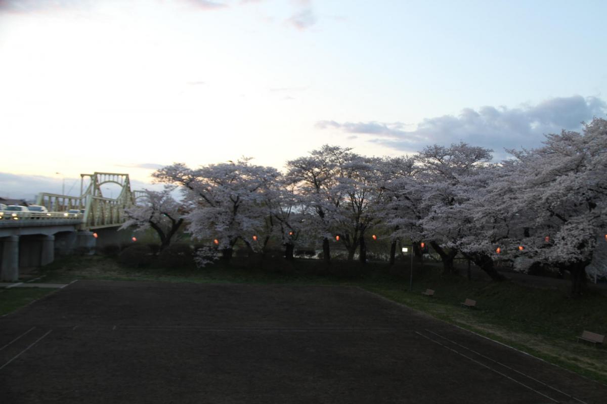 北上市展勝地桜まつり 2017 2017/04/23-29