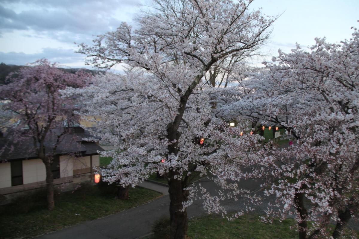 北上市展勝地桜まつり 2017 2017/04/23-29