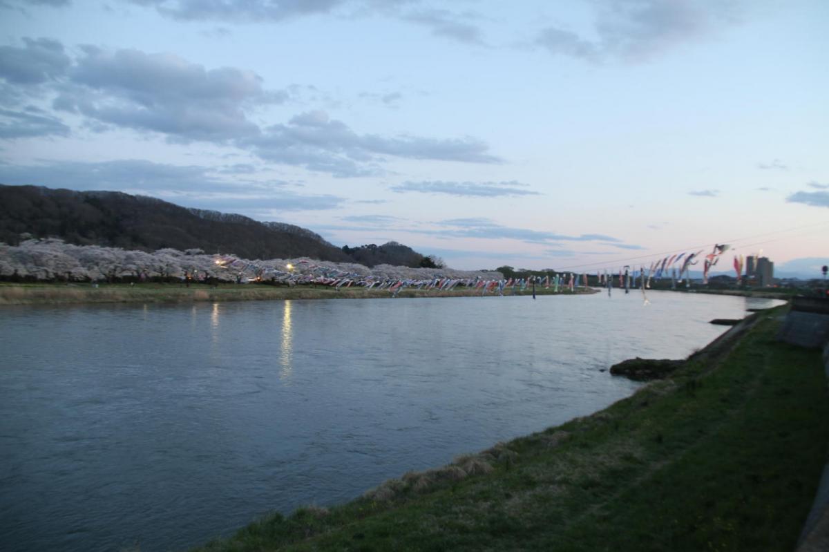 北上市展勝地桜まつり 2017 2017/04/23-29