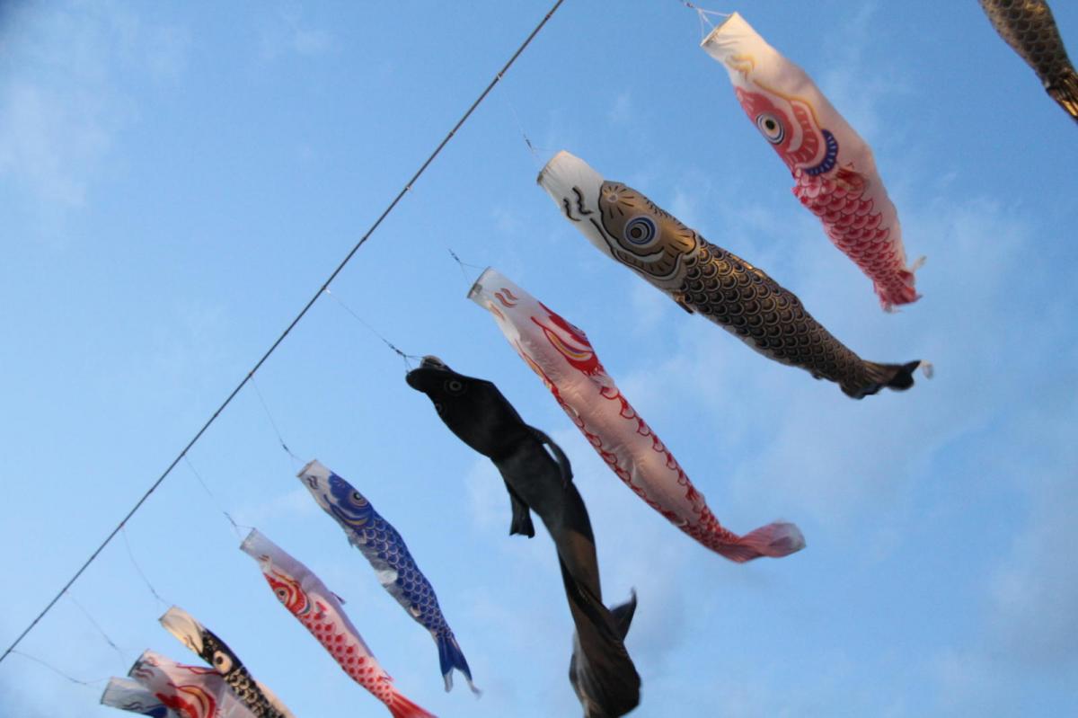 北上市展勝地桜まつり 2017 2017/04/23-29