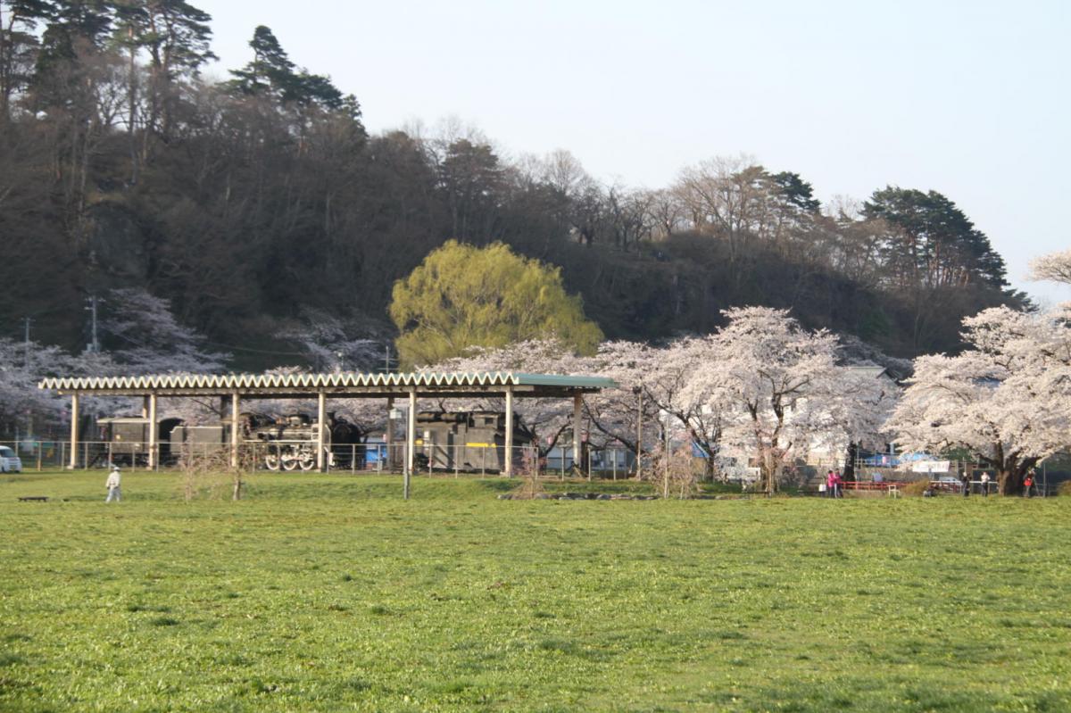 北上市展勝地桜まつり 2017 2017/04/23-29