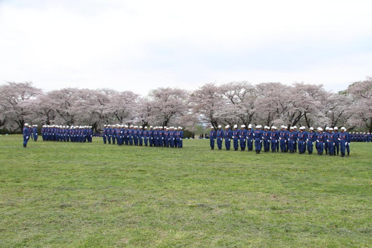 北上市展勝地桜まつり 2017 2017/04/23-29