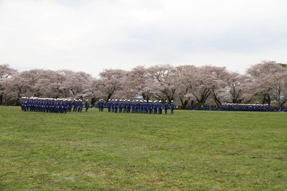 北上市展勝地桜まつり 2017 2017/04/23-29