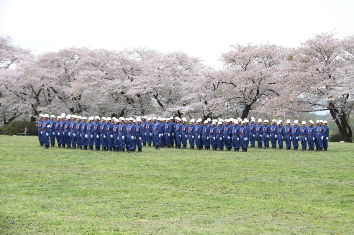 北上市展勝地桜まつり 2017 2017/04/23-29