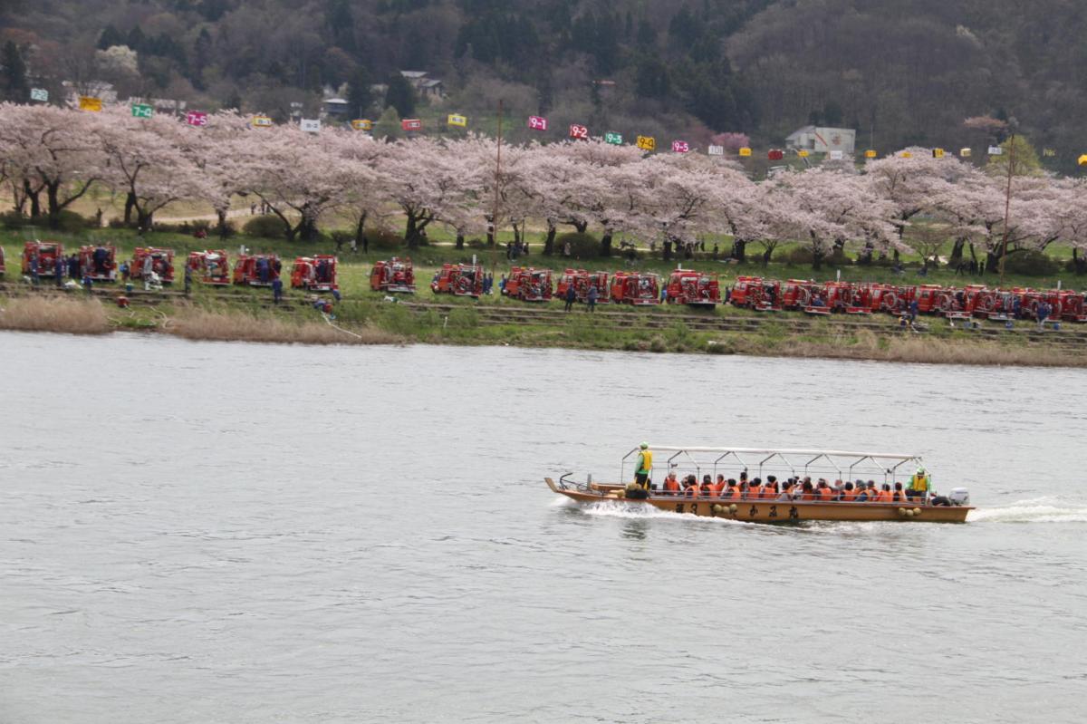 北上市展勝地桜まつり 2017 2017/04/23-29
