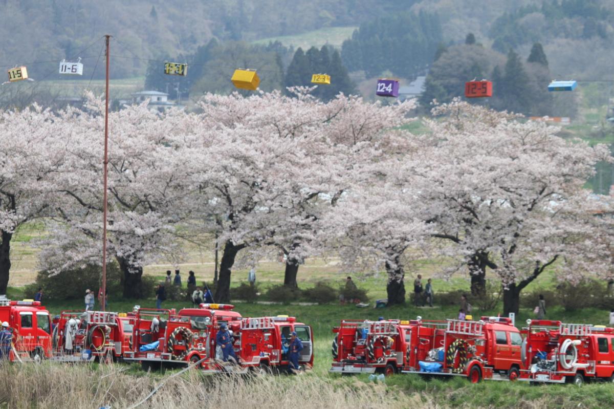 北上市展勝地桜まつり 2017 2017/04/23-29