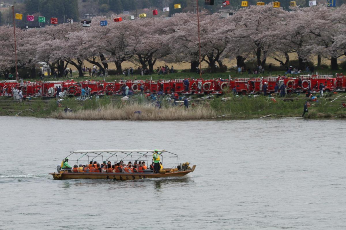 北上市展勝地桜まつり 2017 2017/04/23-29