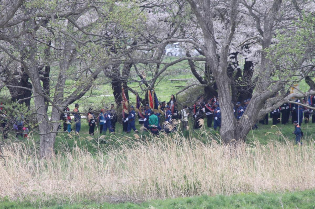 北上市展勝地桜まつり 2017 2017/04/23-29