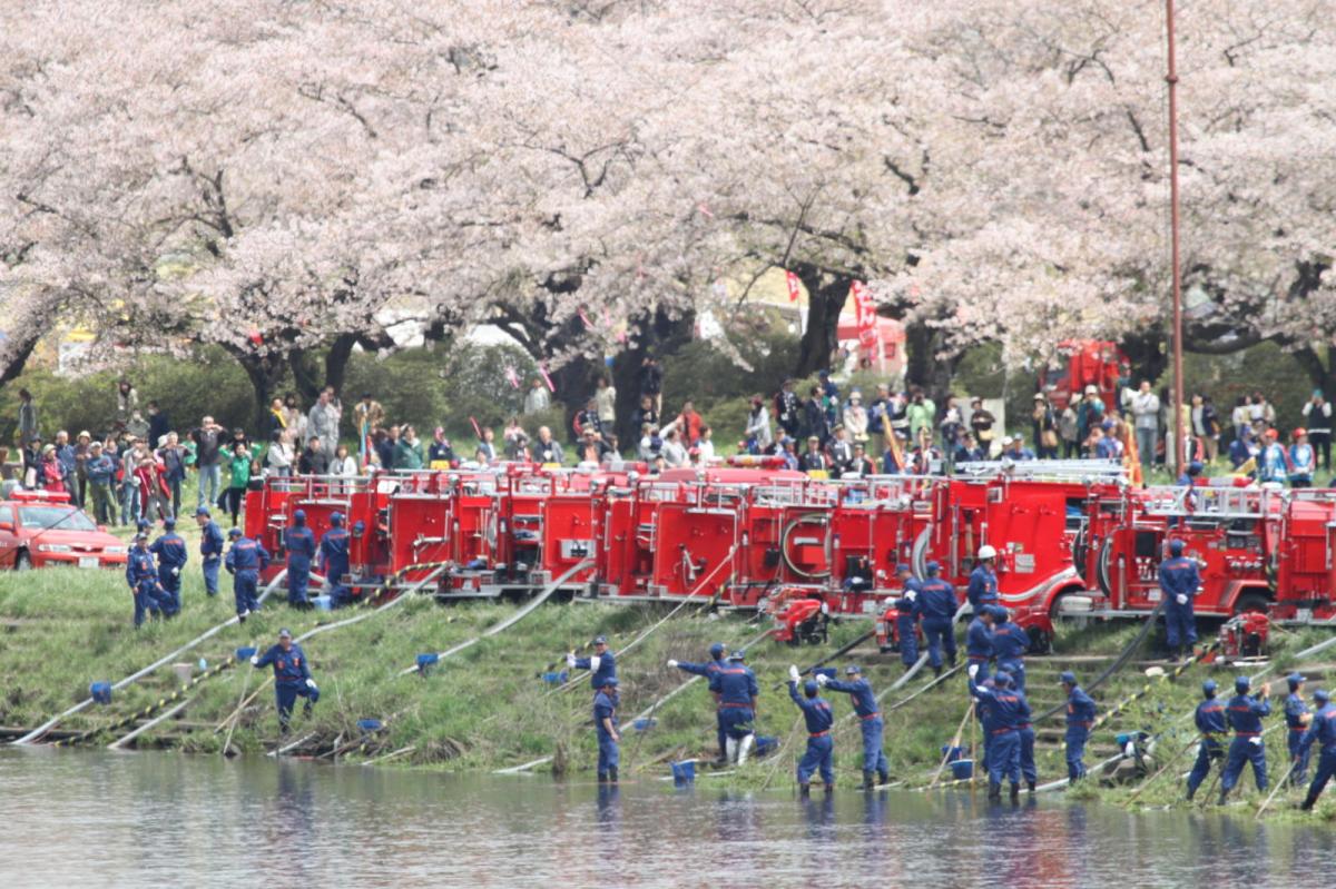 北上市展勝地桜まつり 2017 2017/04/23-29