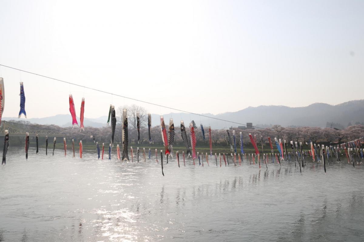 北上市展勝地桜まつり 2018 2018/04/21-29