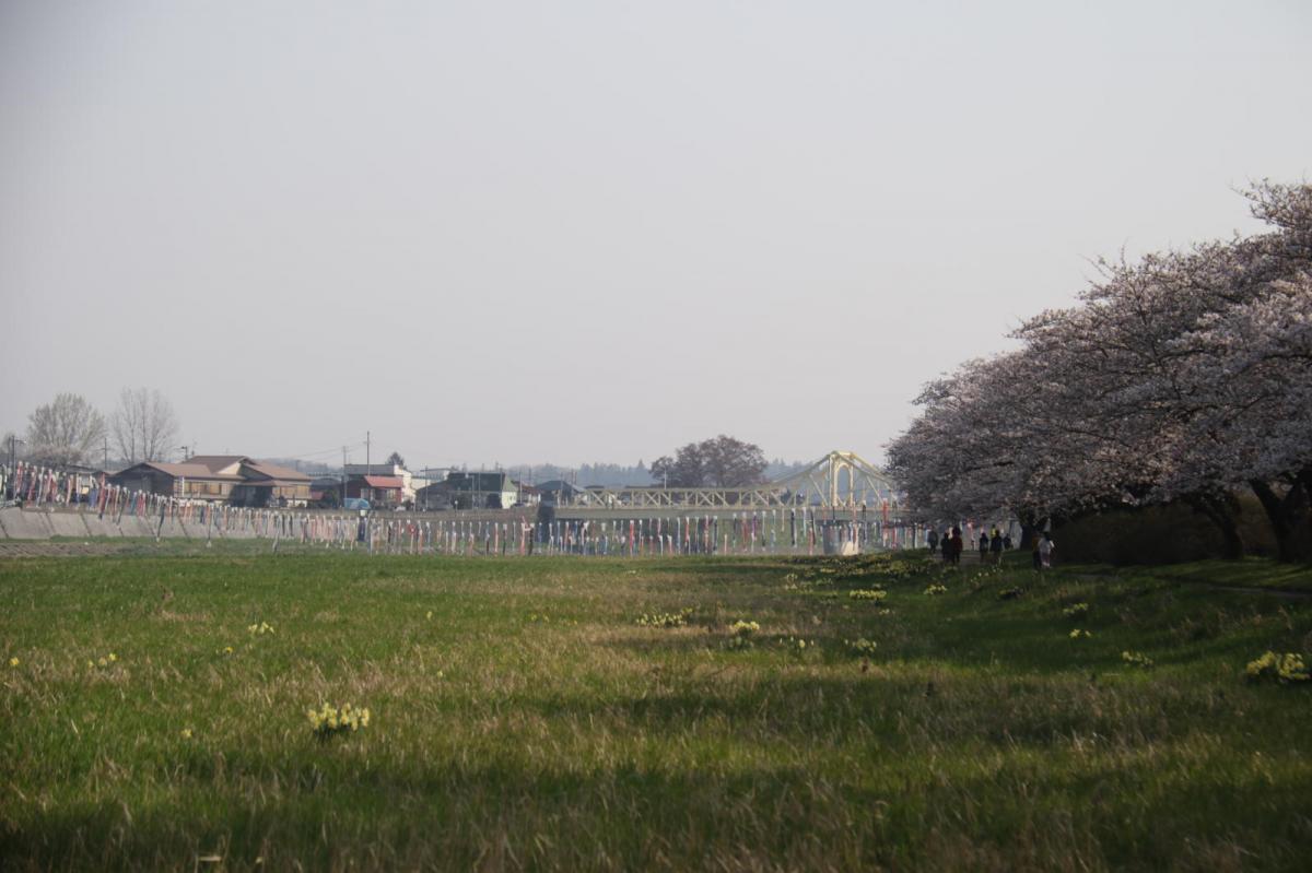 北上市展勝地桜まつり 2018 2018/04/21-29