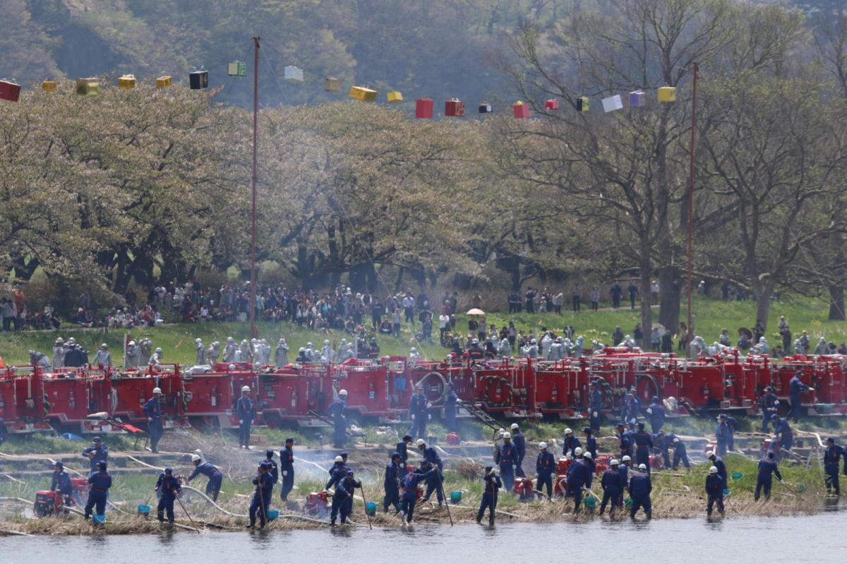 北上市展勝地桜まつり 2018 2018/04/21-29