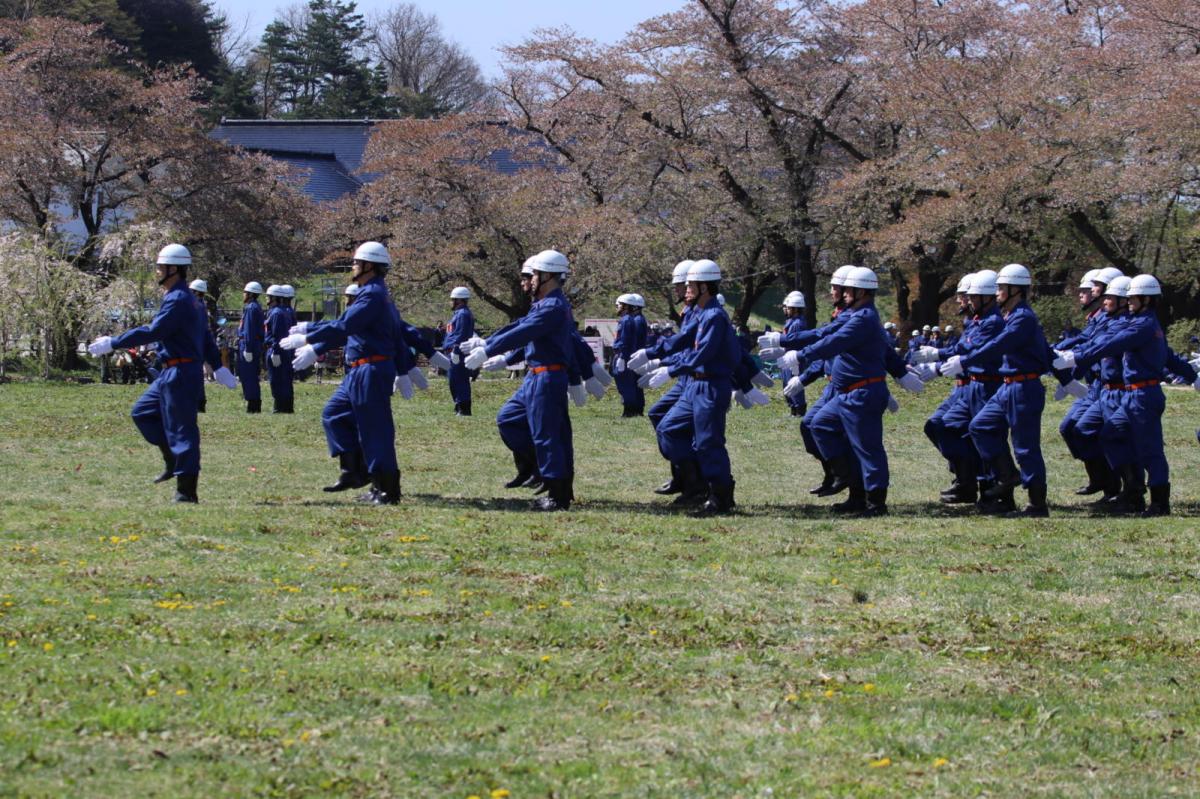 北上市展勝地桜まつり 2019 2019/04/21-29