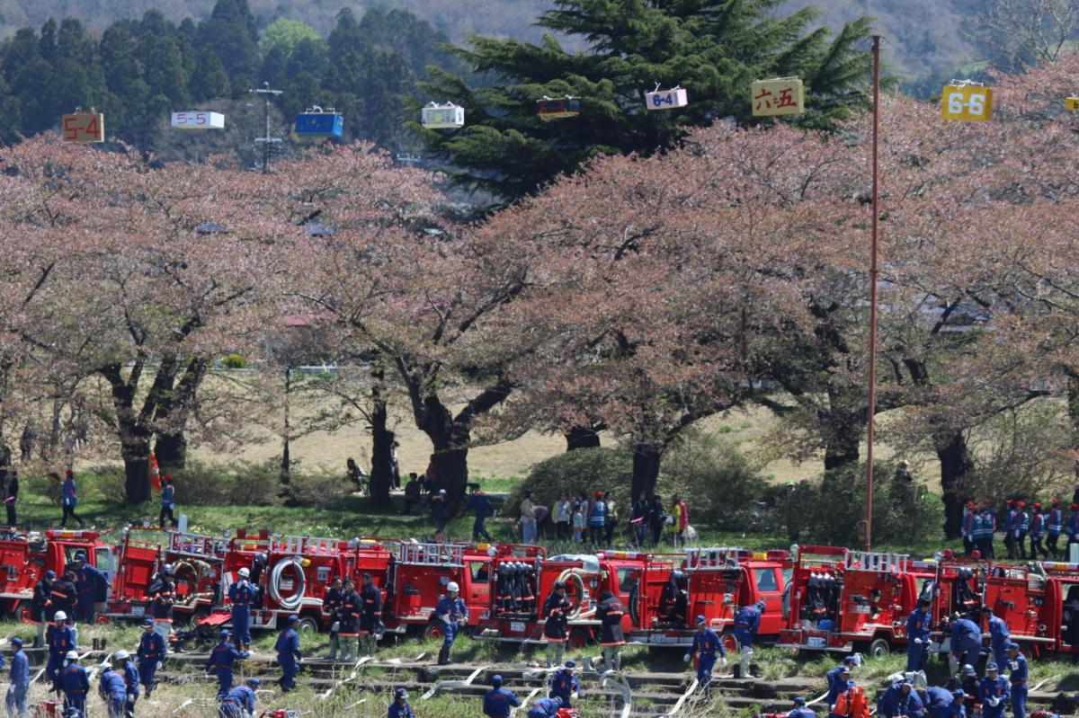 北上市展勝地桜まつり 2019 2019/04/21-29