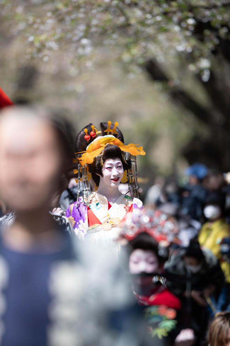 展勝地おいらん道中2024 2024/04/20