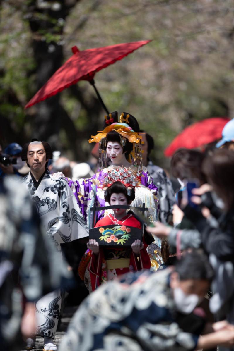 展勝地おいらん道中2024 2024/04/20