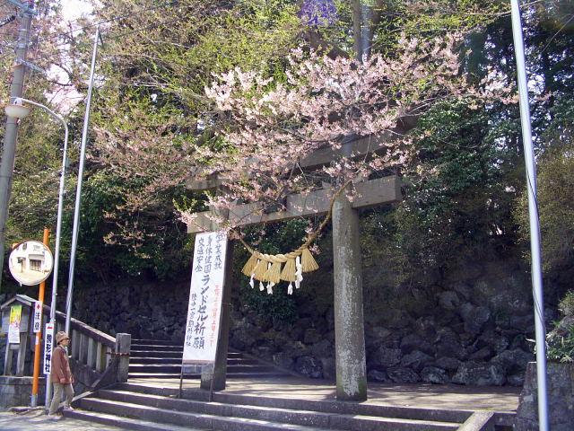 奥州市のさくら(桜）2008 2008/04/15