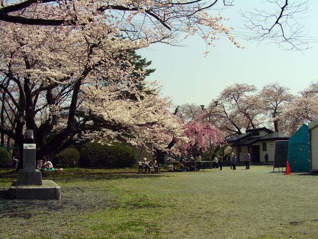 奥州市のさくら(桜）2008 2008/04/15
