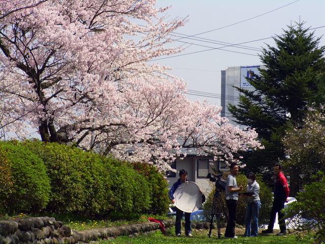 奥州市のさくら(桜）2008 2008/04/15