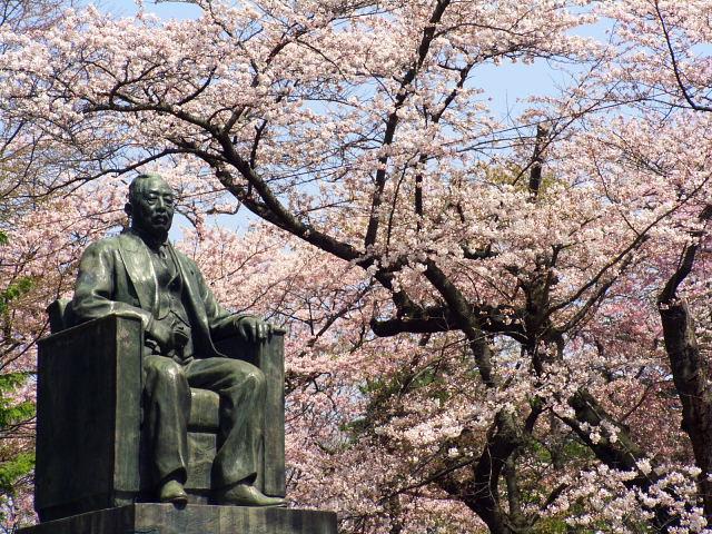 奥州市のさくら(桜）2008 2008/04/15