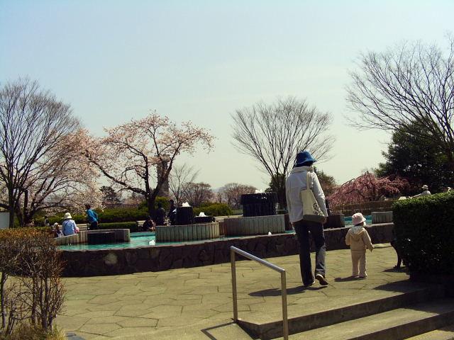 奥州市のさくら(桜）2008 2008/04/15