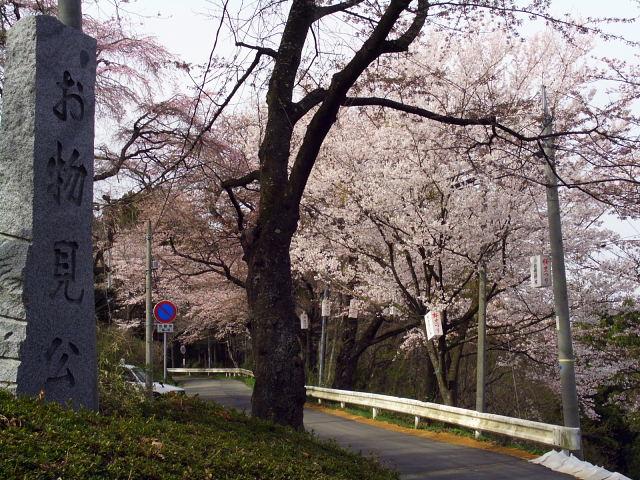 奥州市のさくら(桜）2008 2008/04/15
