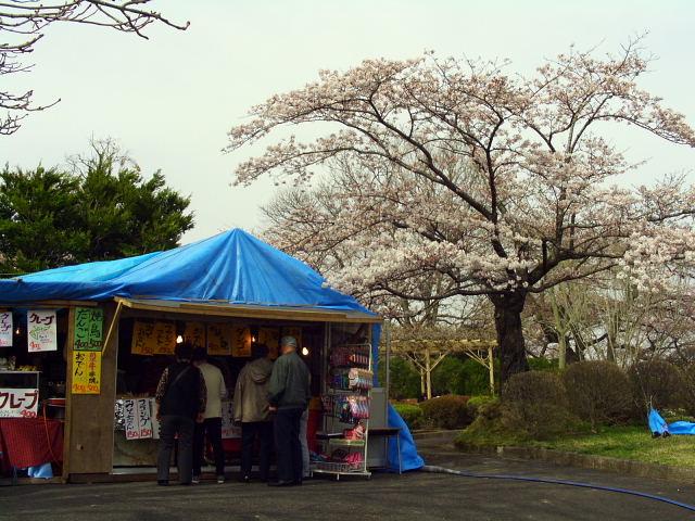 奥州市のさくら(桜）2008 2008/04/15