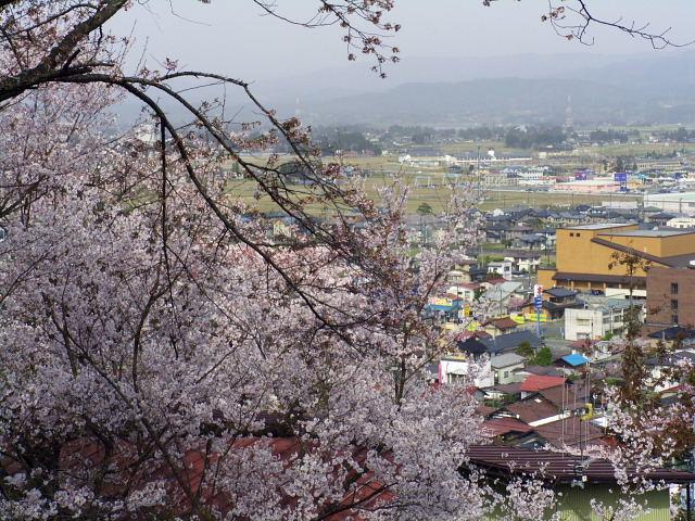 奥州市のさくら(桜）2008 2008/04/15