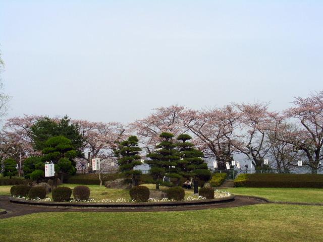 奥州市のさくら(桜）2008 2008/04/15
