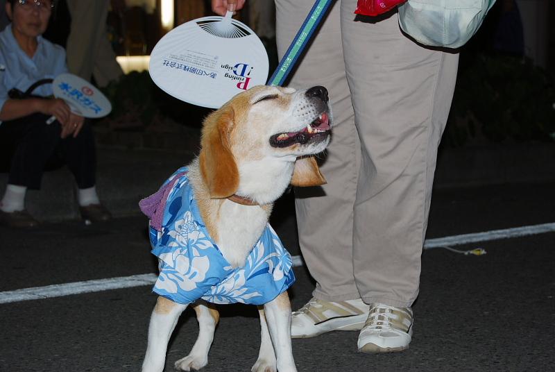 奥州市水沢夏まつり2008その1 2008/08/02