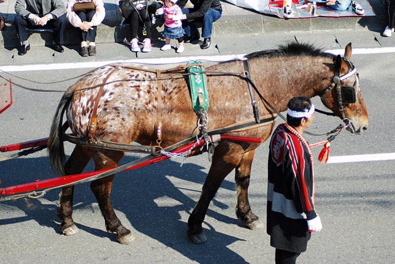 奥州市日高火防祭（本祭）2009その1 2009/04/29