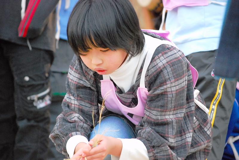 第21回奥州・胆沢「全日本農はだてのつどい」2010その1 2010/02/14