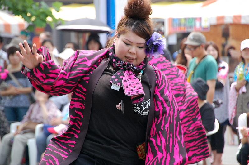 第6回奥州前沢よさこいFestaVI 2010その2 2010/07/04