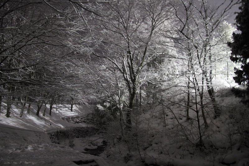 奥州・黒石寺「蘇民祭」2012その1 2011/02/09
