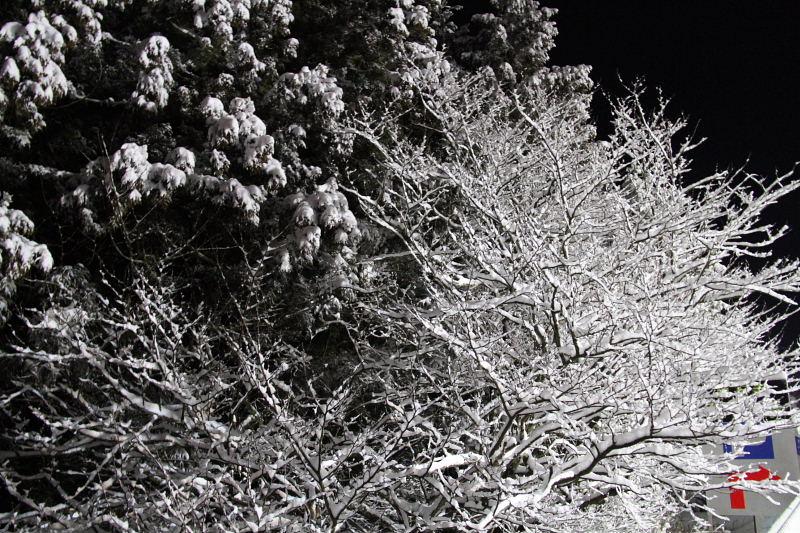 奥州・黒石寺「蘇民祭」2012その1 2011/02/09