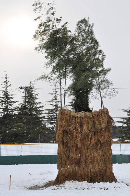 第22回奥州・胆沢「全日本農はだてのつどい」2011その3 2011/02/12