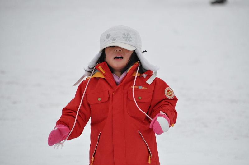 第22回奥州・胆沢「全日本農はだてのつどい」2011その3 2011/02/12