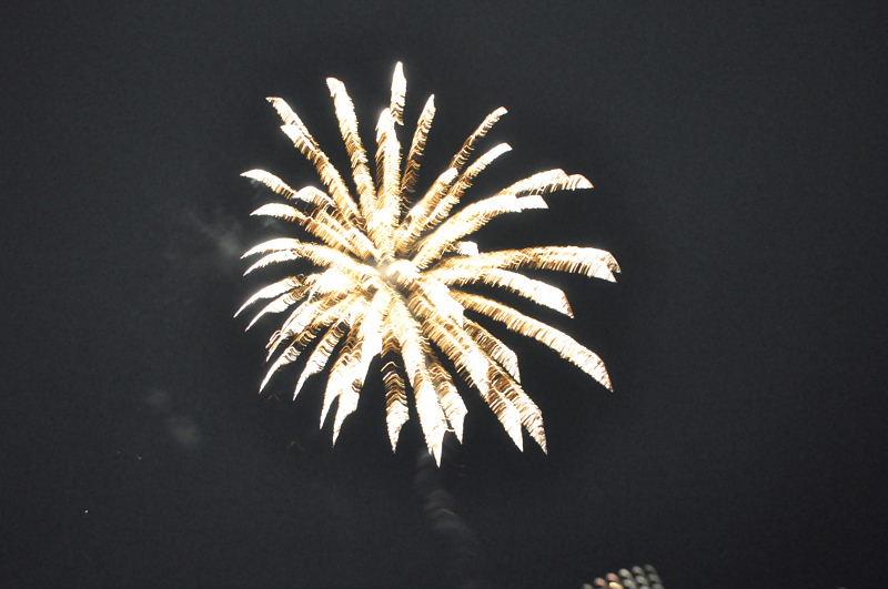 第22回奥州・胆沢「全日本農はだてのつどい」2011その3 2011/02/12