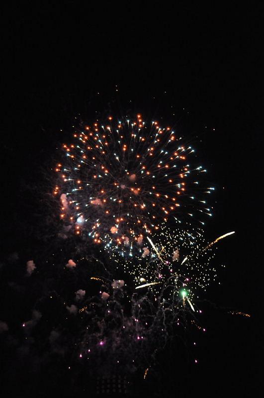 第22回奥州・胆沢「全日本農はだてのつどい」2011その3 2011/02/12