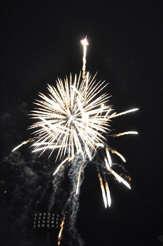 第22回奥州・胆沢「全日本農はだてのつどい」2011その3 2011/02/12