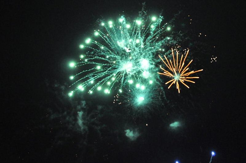 第22回奥州・胆沢「全日本農はだてのつどい」2011その3 2011/02/12