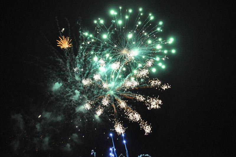 第22回奥州・胆沢「全日本農はだてのつどい」2011その3 2011/02/12