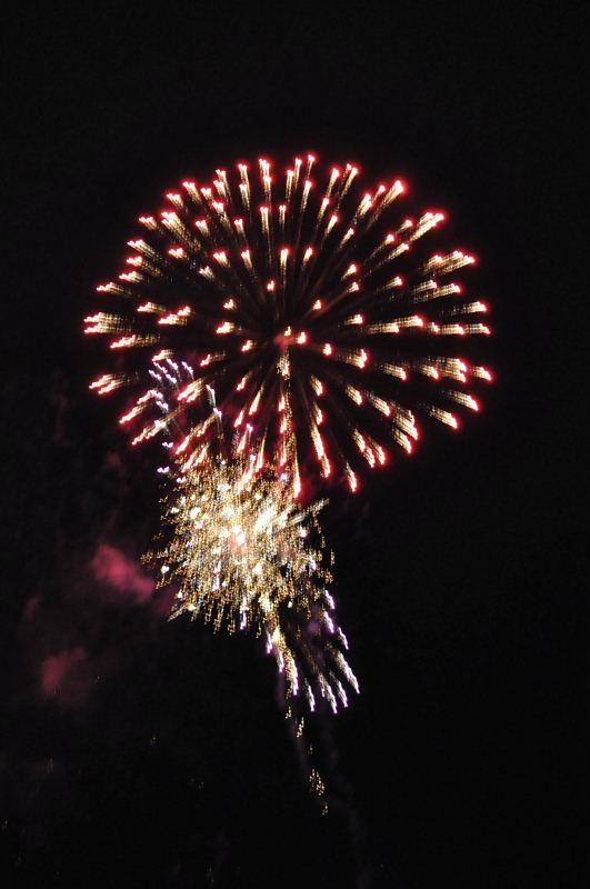 第22回奥州・胆沢「全日本農はだてのつどい」2011その3 2011/02/12