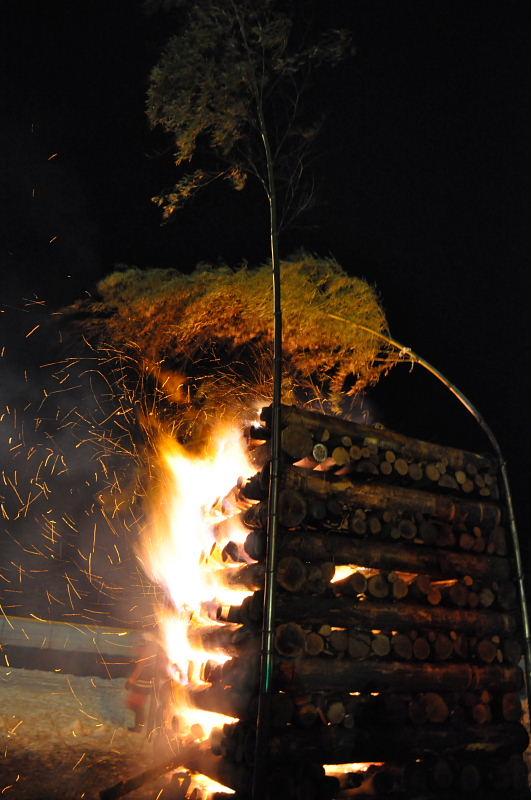 第22回奥州・胆沢「全日本農はだてのつどい」2011その3 2011/02/12