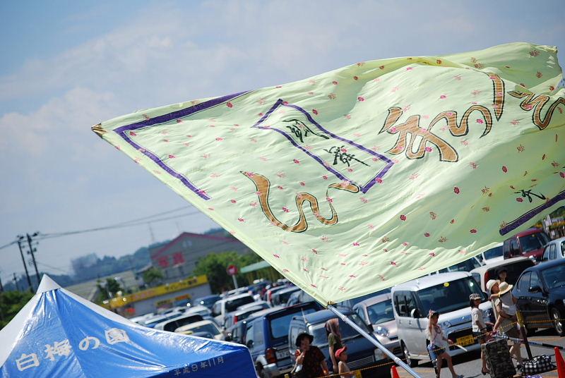 第7回奥州前沢よさこいFestaVII 2011その2 2011/07/10