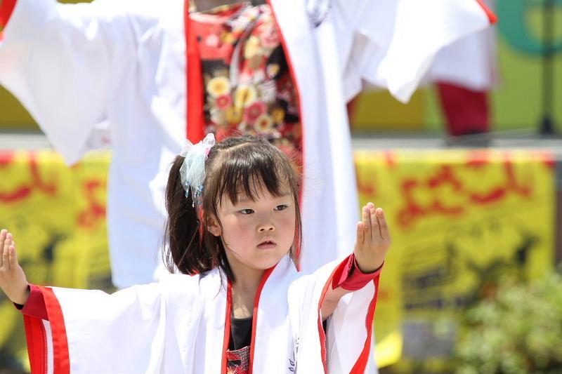 第7回奥州前沢よさこいFestaVII 2011その4 2011/07/10