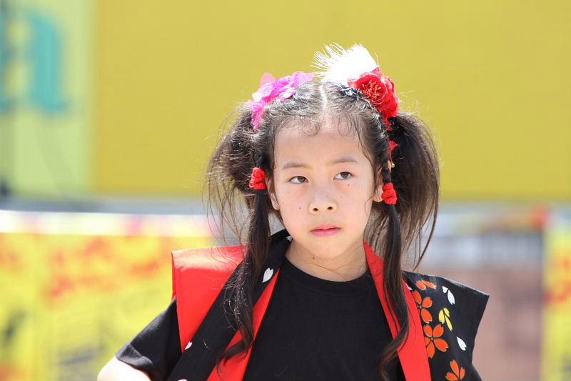 第7回奥州前沢よさこいFestaVII 2011その4 2011/07/10